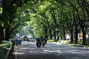 Rental Mobil Tangerang – Layanan Supir Profesional | Nusa Rent Car